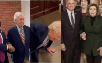 After Mitch McConnell trips and falls, social media trolls Nancy Pelosi over her previous tumble: ‘Both need to retire’