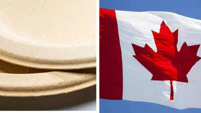 Canada announces investigation into paper plates; Social media users troll govt; ‘Feeling very much safe’ Canada announces investigation into paper plates; Social media users troll govt; ‘Feeling very much safe’