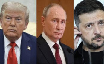 ‘President would love it’: White House on potential Putin-Zelenskyy talks; ‘He thinks it’s possible’, says press secretary Karoline Leavitt